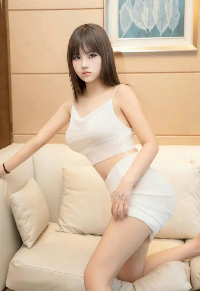 狐狸软件下载安全流程示意图